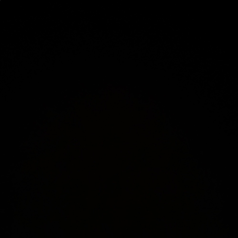 Meet your Posher, Addie